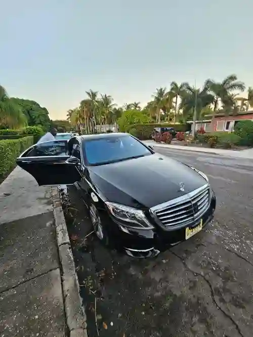 Exterior Auto Detailing Near Me