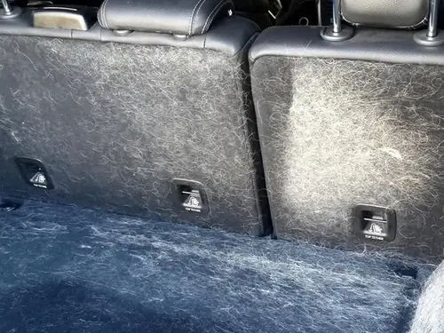 Pet Hair Removal Service mobile detailing